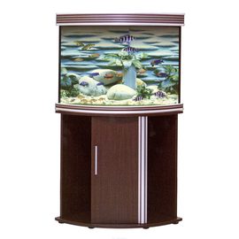 Тумба B-850JX для акв. B-850J, 85x60/60xh73см, тик