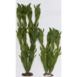 Растение Морской кактус, 40см, зеленое