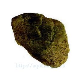 Камень - Модуль A