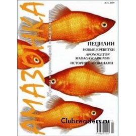 Журнал Амазонка № 4