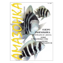 Журнал Амазонка № 1