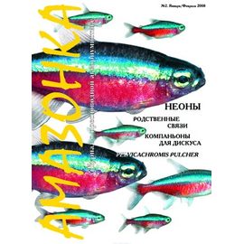 Журнал Амазонка № 2