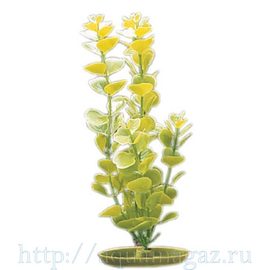 Растение Монетница 30см зеленое