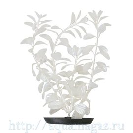 Растение Людвигия белая 30 см перламутровое