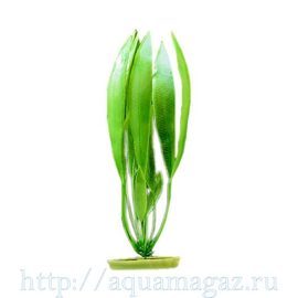 Растение Амазонка 38 см зеленое