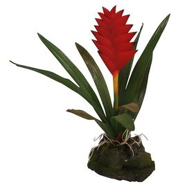 Искусственное растение, Бромелия Вриси блестящая, 50см