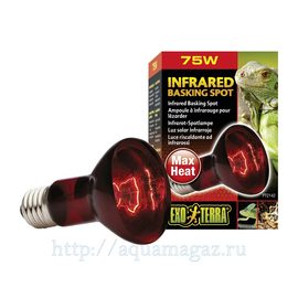 Инфракрасная лампа Heat Glo R 20 75 Вт Инфракрасная лампа Heat Glo R 20 75 Вт