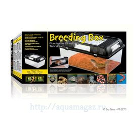 Контейнер для разведения Breeding Box средний