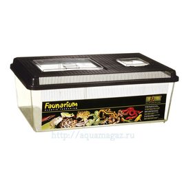 Многоцелевой террариум (Фаунариум) плоский большой