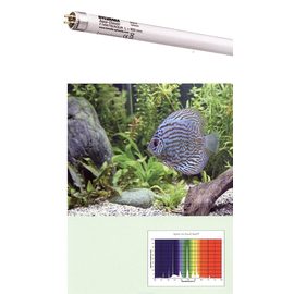 Лампа SYLVANIA Aquaclassic 18Вт 59,0см, цоколь G13