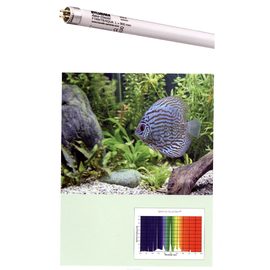 Лампа SYLVANIA Aquaclassic 25Вт 74,2см, цоколь G13