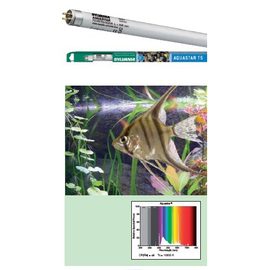 Лампа SYLVANIA Т5 Aquastar 54Вт 114.9см, цоколь G5