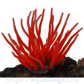 Коралл силиконовый красный 5.5х5.5х10см