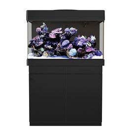 Аквариум MAX C-250 рифовая система - черный (аквариум и тумба)