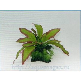 Композиция из искусственных растений и коряги 18х13.5х14.5см