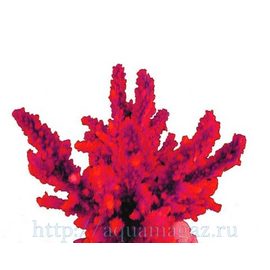 Коралл искуственный RED SEA Акропора (Acropora) L красный