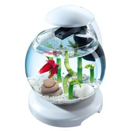 Tetra Cascade Globe White аквариумный комплекс белый 6,8 л Tetra Cascade Globe White аквариумный комплекс белый 6,8 л