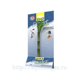 Растение Бамбук S