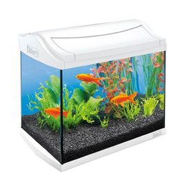 Tetra AquaArt аквариумный комплекс 20 л белый
