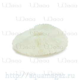 Коралл дисковидный UDeco Disk Coral S
