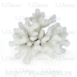 Коралл пальчиковый UDeco Finger Coral M