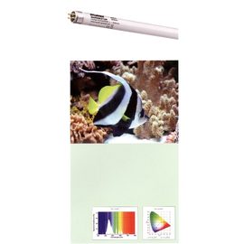 ?Лампа SYLVANIA Т5 Marinestar 15000K 24Вт 54.9см