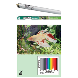 ?Лампа SYLVANIA Т5 Grolux 80Вт 144.9см (промышленная упаковка)