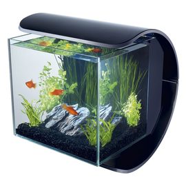 Аквариум Tetra Silhouette LED Tank 12л Силуэт