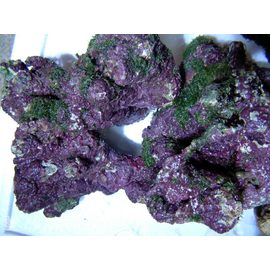 Камни живые голубые - Индонезия  кг.  M, Live rocks M K9t25/M