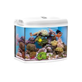 Аквариум морской рифовый REEFMASTER 105л