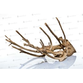 Корень дерева 50-70см PH095-L