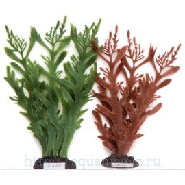 Растение Коралл ветвистый, 20см, коричневое