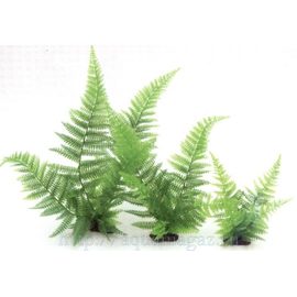 Растение Папоротник, 20см, зеленое
