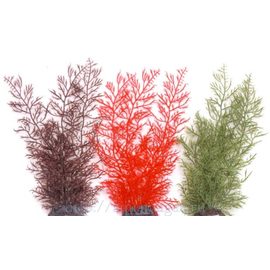 Растение Каменный мох 30см коричневое