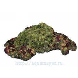Камень пластиковый Live rock Replica №23 55х32х17см