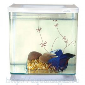 Аквариум Marina Betta Kit Contemporary, 2л, белый