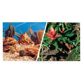 Фон Кактусы/Террариум, 30 см 7,5 м