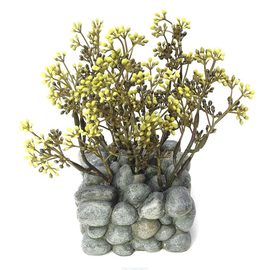 растение для аквариума Fluval Chi с креплением