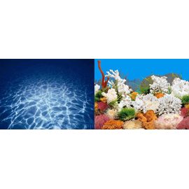 Фон двухсторонний 40см. Синее море/ Белые кораллы