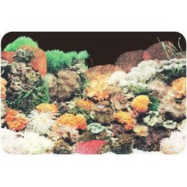 Фон односторонний 60см. Кораллы (черный)