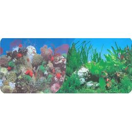 Фон двухсторонний 60см. Кораллы (синий) / Растительный с белым камнем (синий)