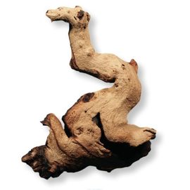 Коряга африканская Мопани средняя