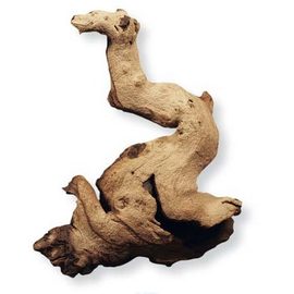 Коряга африканская Мопани малая