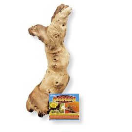 Коряга африканская Мопани большая