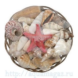 Набор раковин в корзинке (15см)