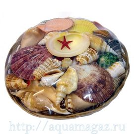 Набор раковин в корзинке (18см)