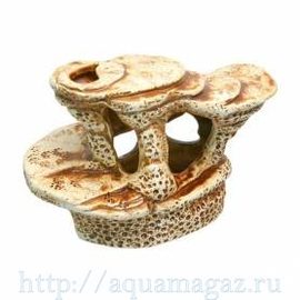 Черепаший пляж малый