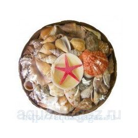 Набор раковин в корзинке (22см)