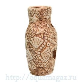 Амфора звезда Амфора звезда