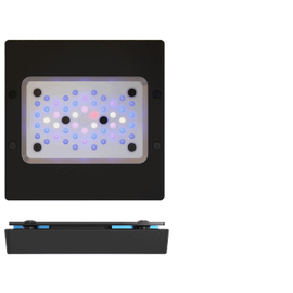 Radion XR15 G6 blue Radion XR15 G6 blue
